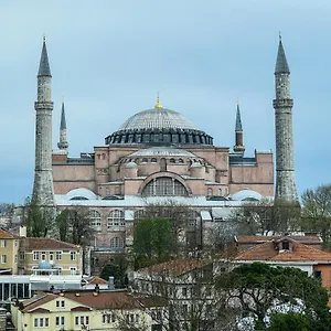 Отель Basilica